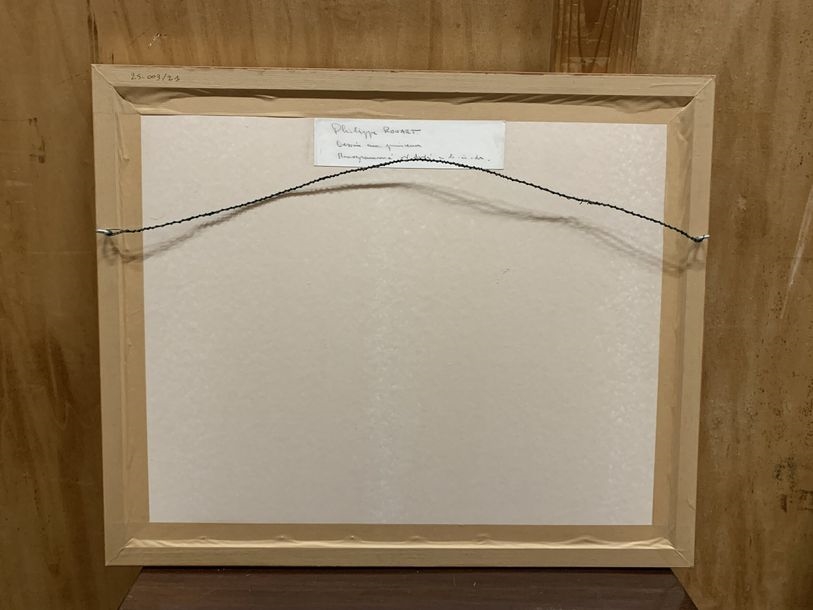 Artwork by Philippe Rouart, The Harvest, Made of crumpled paper