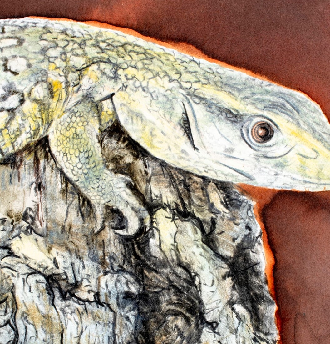 Chris Calle | Varan des Savanes, Lizard (titled on verso (2002) | MutualArt