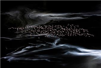 MAGADI LAKE - Chloé Bès