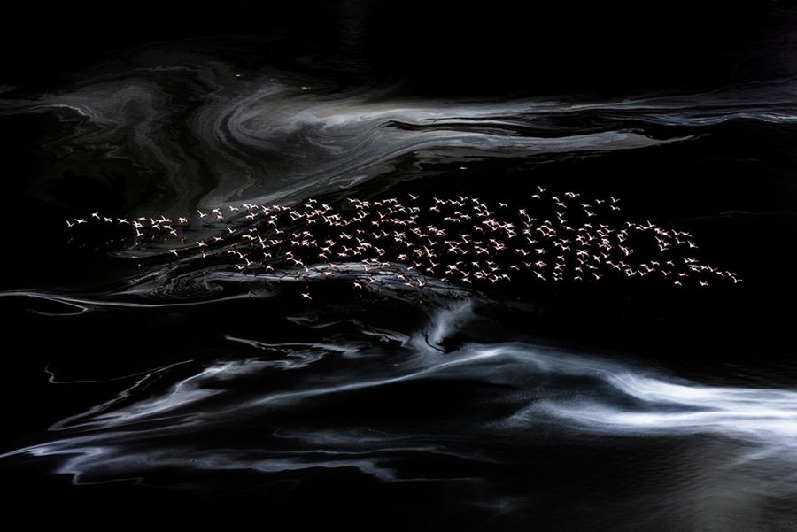 Artwork by Chloé Bès, MAGADI LAKE, Made of Fine Art print, Glass Art paper, under Diasec