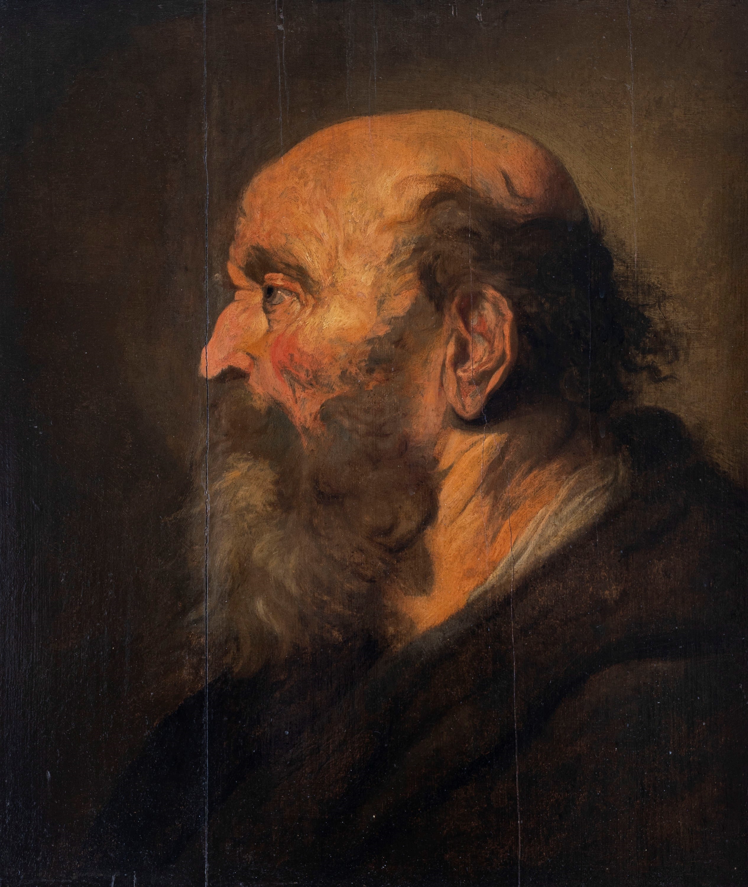 Peter Paul Rubens | Male head in profile | MutualArt