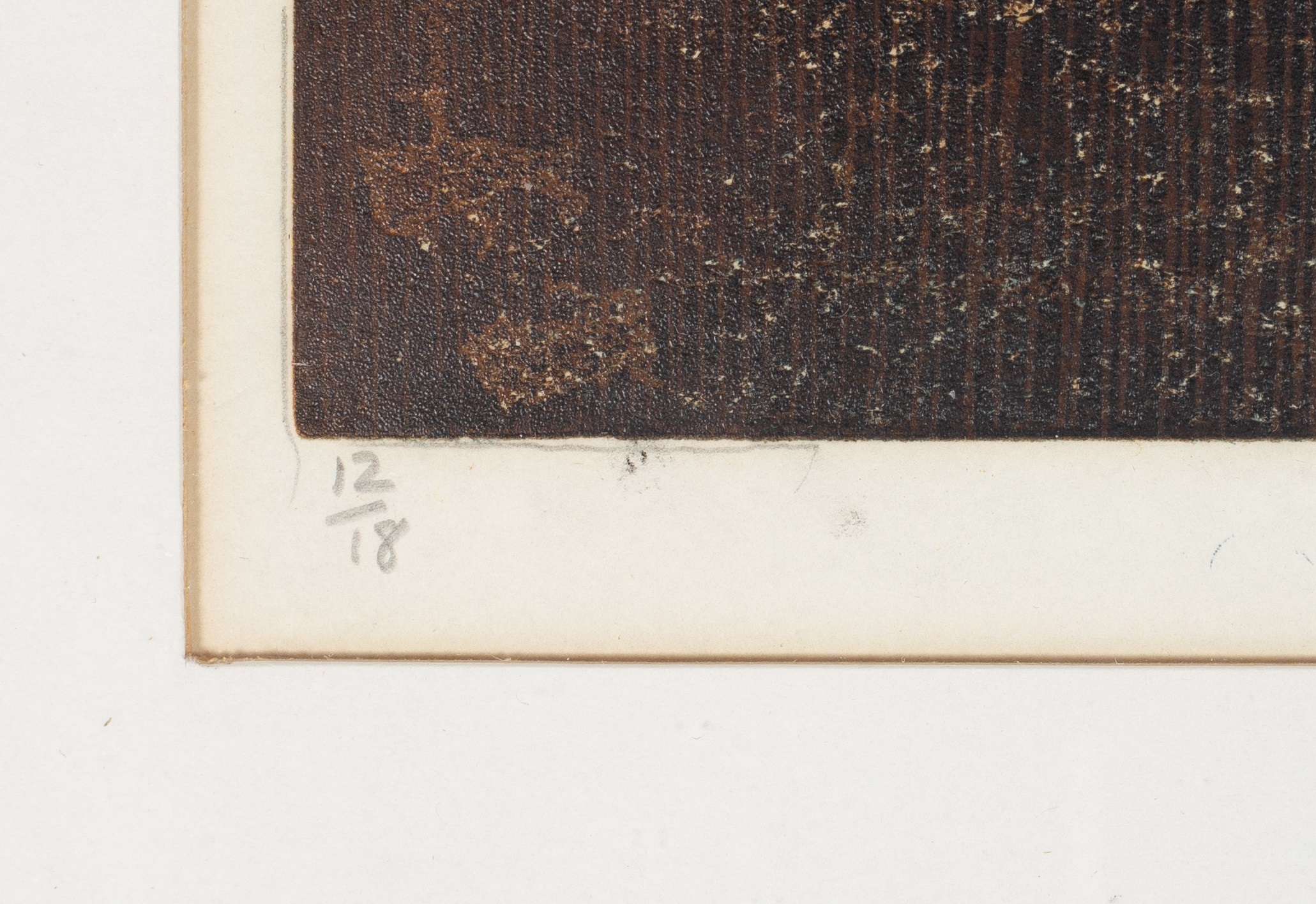 Artwork by Barbara Robertson, The Life of Riley, Made of lithograph in colours