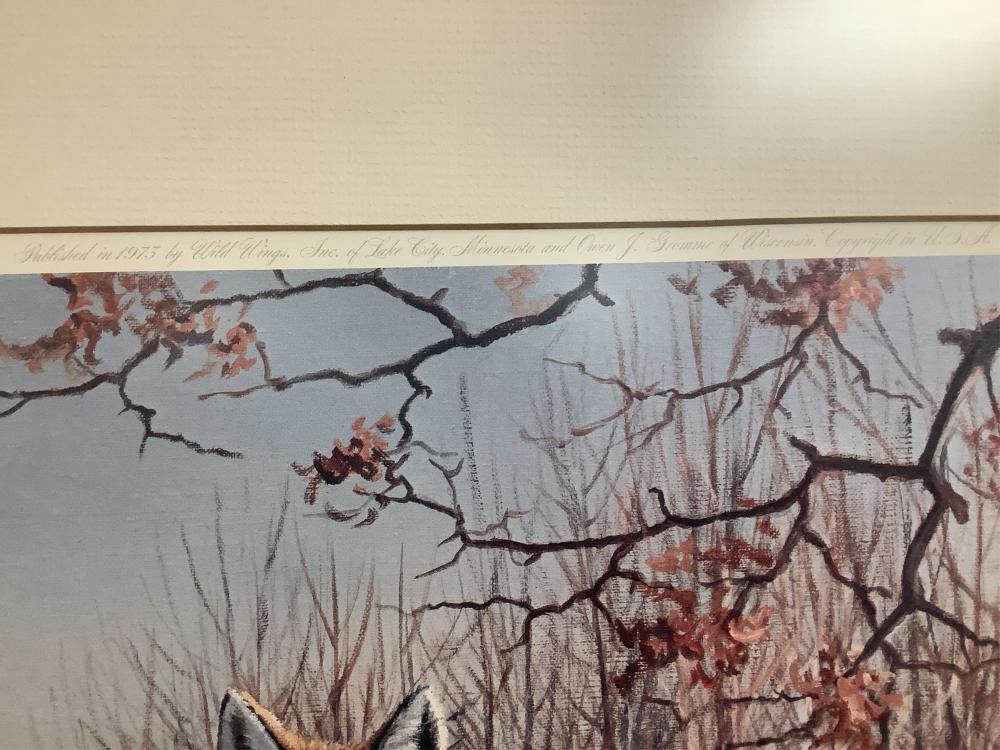 Owen J. Gromme | Framed Print of a Fox by O. J. Gromme** 32” x 28 ...