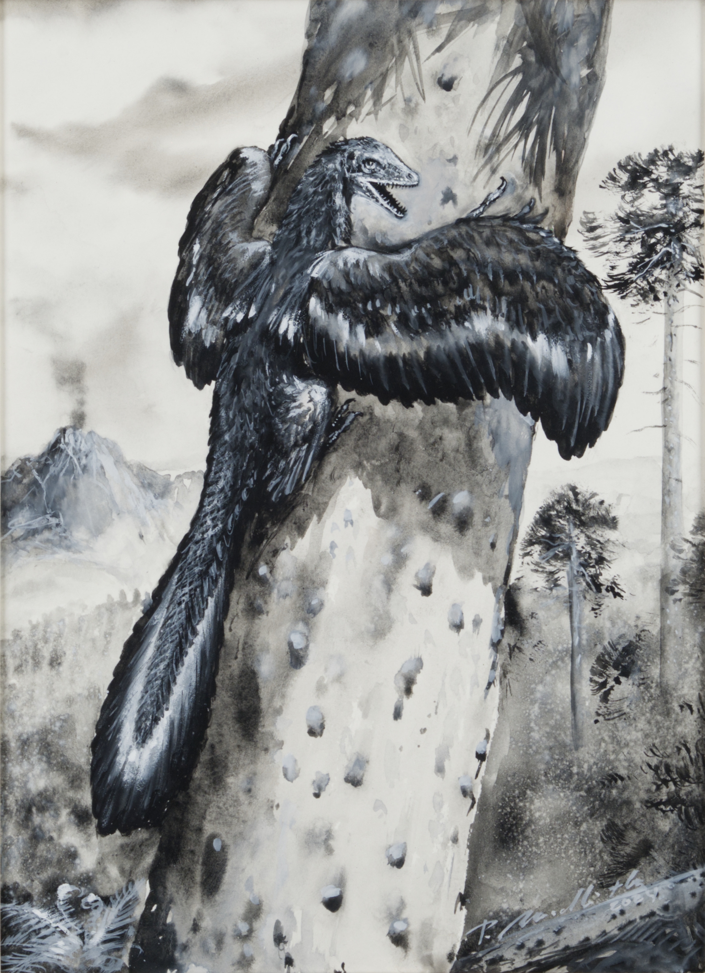 Petr Modlitba | ARCHAEOPTERYX LITHOGRAPHICA (2024) | MutualArt