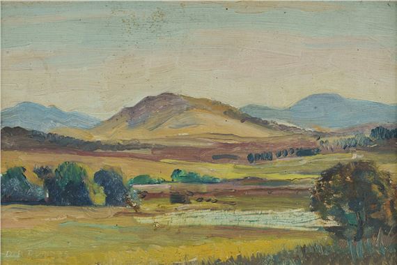 Canberra Landscape