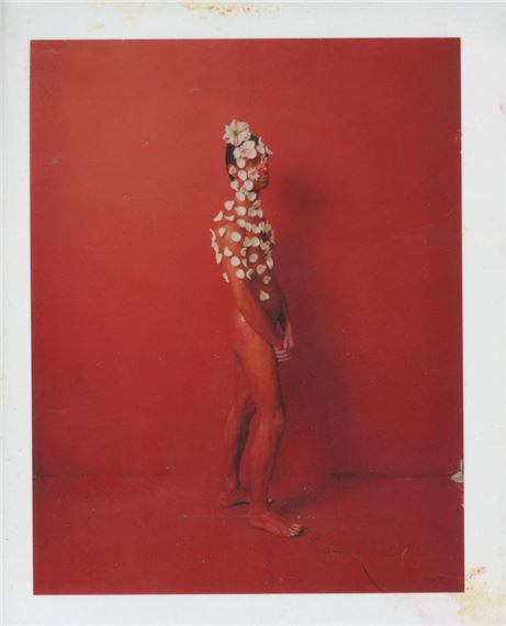 Dietmar Busse: My Life as a Flower - ClampArt