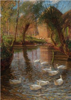 The duckpond - Lindsay Grandison Macarthur