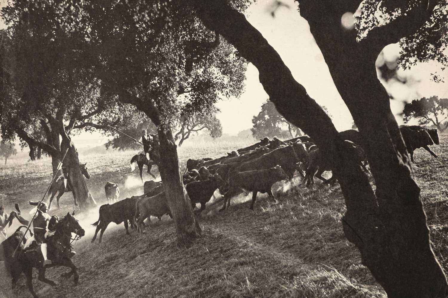 Artwork by Gordon Parks, South American cattle herders, Made of gelatin silver print