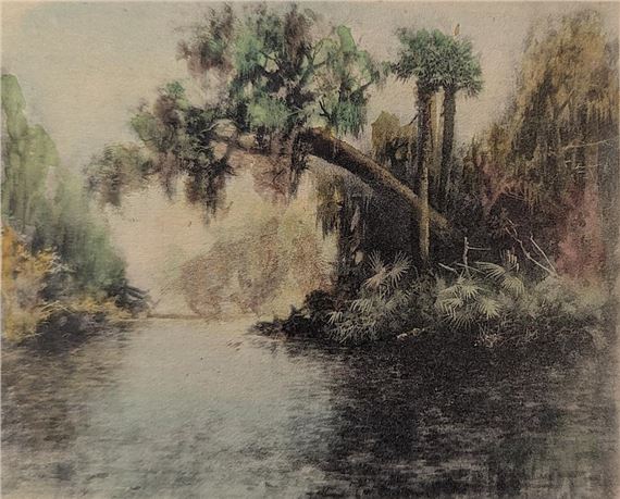 James Ralph Wilcox | Colored Gravure Florida Swamp View by JAMES R ...