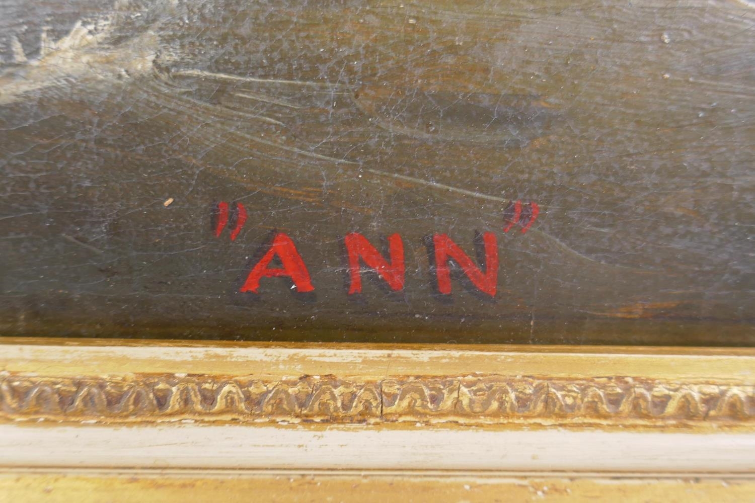 Artwork by Joseph Semple, maritime scene with the schooner 'Ann', Made of oil on canvas laid on board in a period gilt