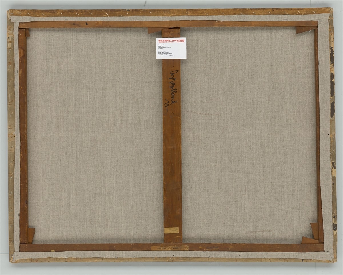 Artwork by Cyprien Gaillard, Untitled, Made of Oil and colour silkscreen on canvas