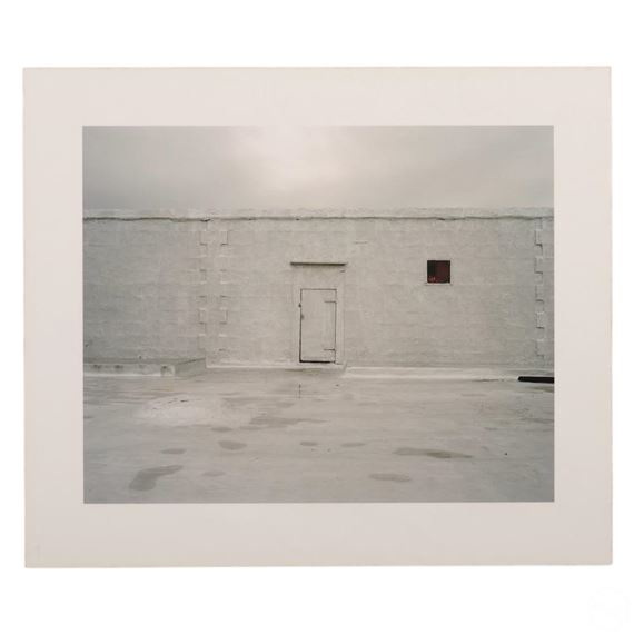 Silver Roof - David S. Allee