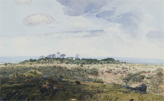Pasture, Bathurst - Neil Rodger