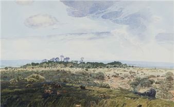 Pasture, Bathurst - Neil Rodger