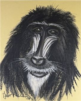Macaque - Jean Poulain