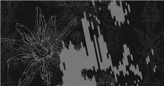 holo- & Elektra Stampoulo: Paradise Rot - Šopa Gallery