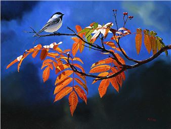 Chickadee on Mountain Ash - Andrew Kiss