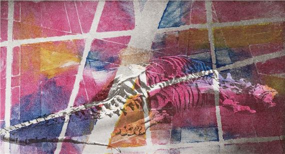 May 2025 Members’ Exhibit - Washington Printmakers Gallery