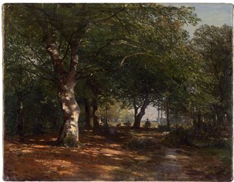 Buchenwald bei Prerow - Paul Franz Flickel