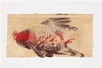 Josely Carvalho: Tem índio me espiando, dizia meu pai - Galeria Cavalo