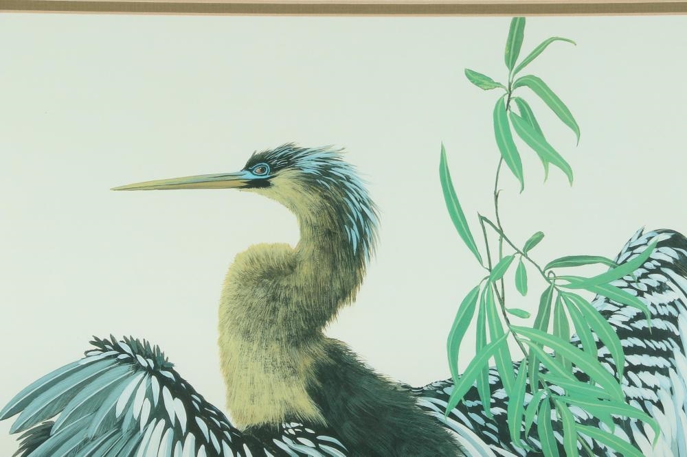 Neil Adamson | Anhinga | MutualArt