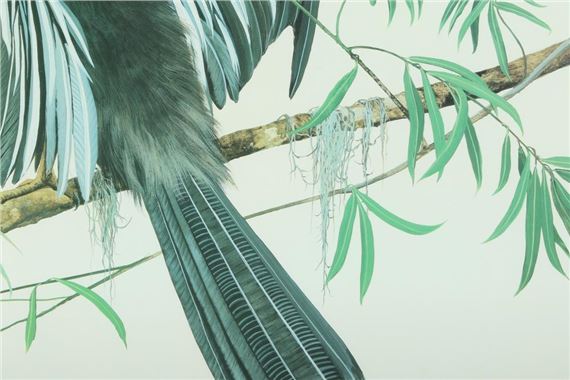 Neil Adamson | Anhinga | MutualArt