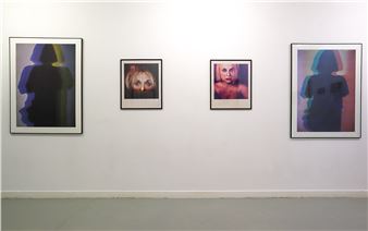 Maria José Oliveira & Maria José Palla: Room next door - Galeria Graça Brandão