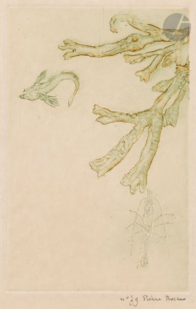 Pierre Roche | Seaweed (1893) | MutualArt
