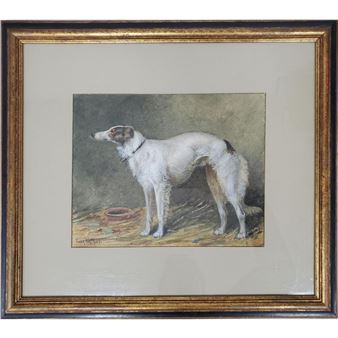 Borzoi - Frank Watson