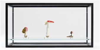 Double Mushroom Vitrine (Threefold - Carsten ö