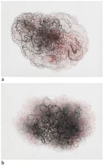 Untitled - Minal Damani