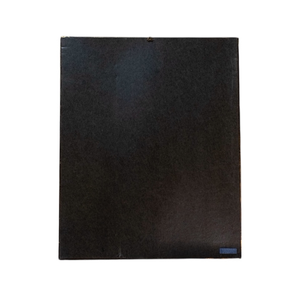 Artwork by Heinrich G. L. Reichenbach, D. Grandiflorum, Made of Original botanical engraving on copper plate