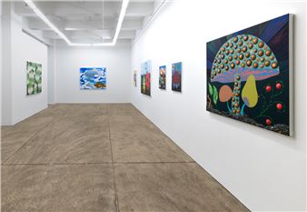 Eric Hibit: The Big Seed - Morgan Lehman Gallery