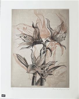 Australia Print of Hippeastrums - Frank Seymour