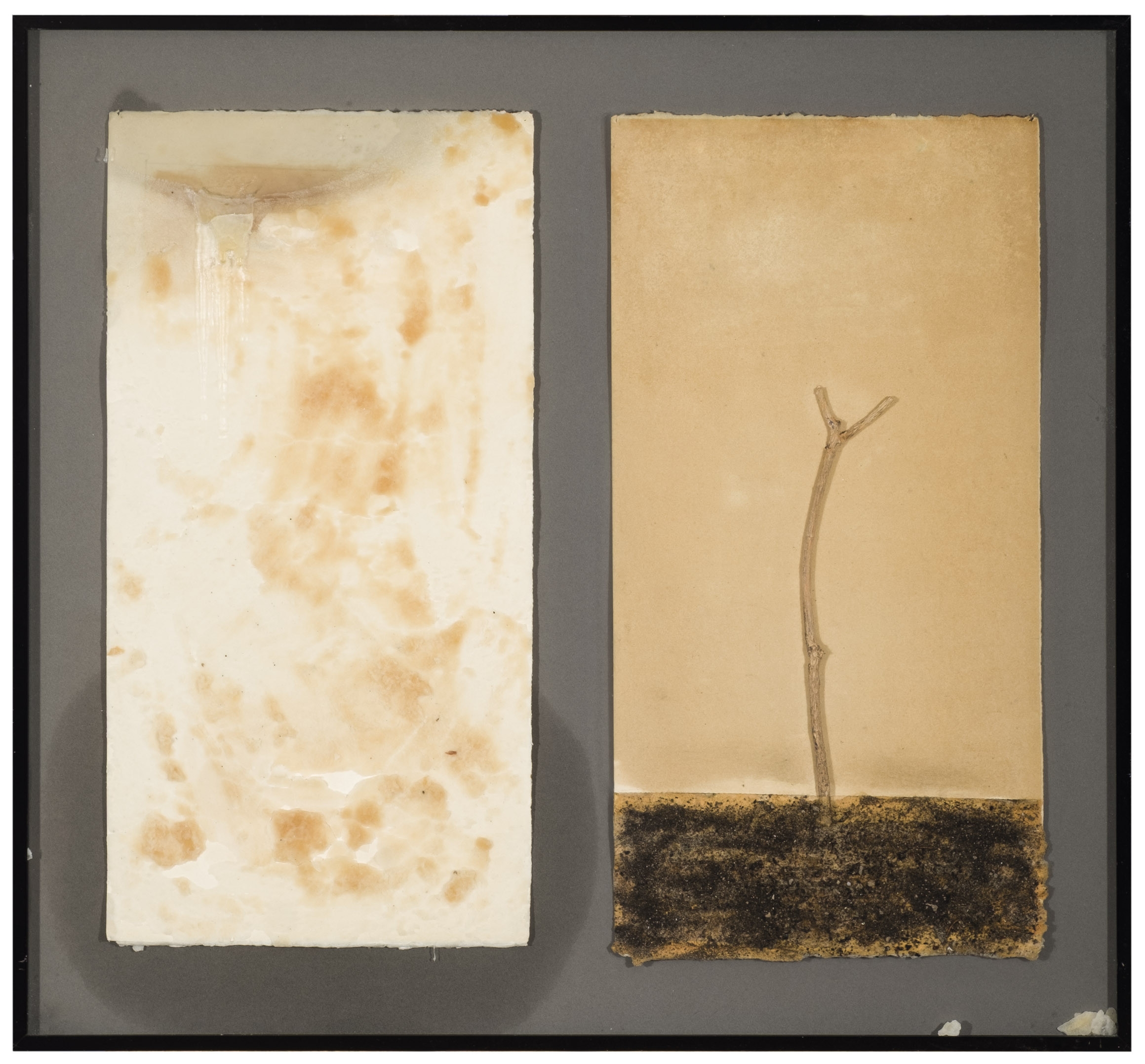 Artwork by Biel March Simó, Untitled, Made of Técnica mixta (collage, parafina y ramas) sobre cartón