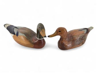 Mallard Ducks - Ed Moe