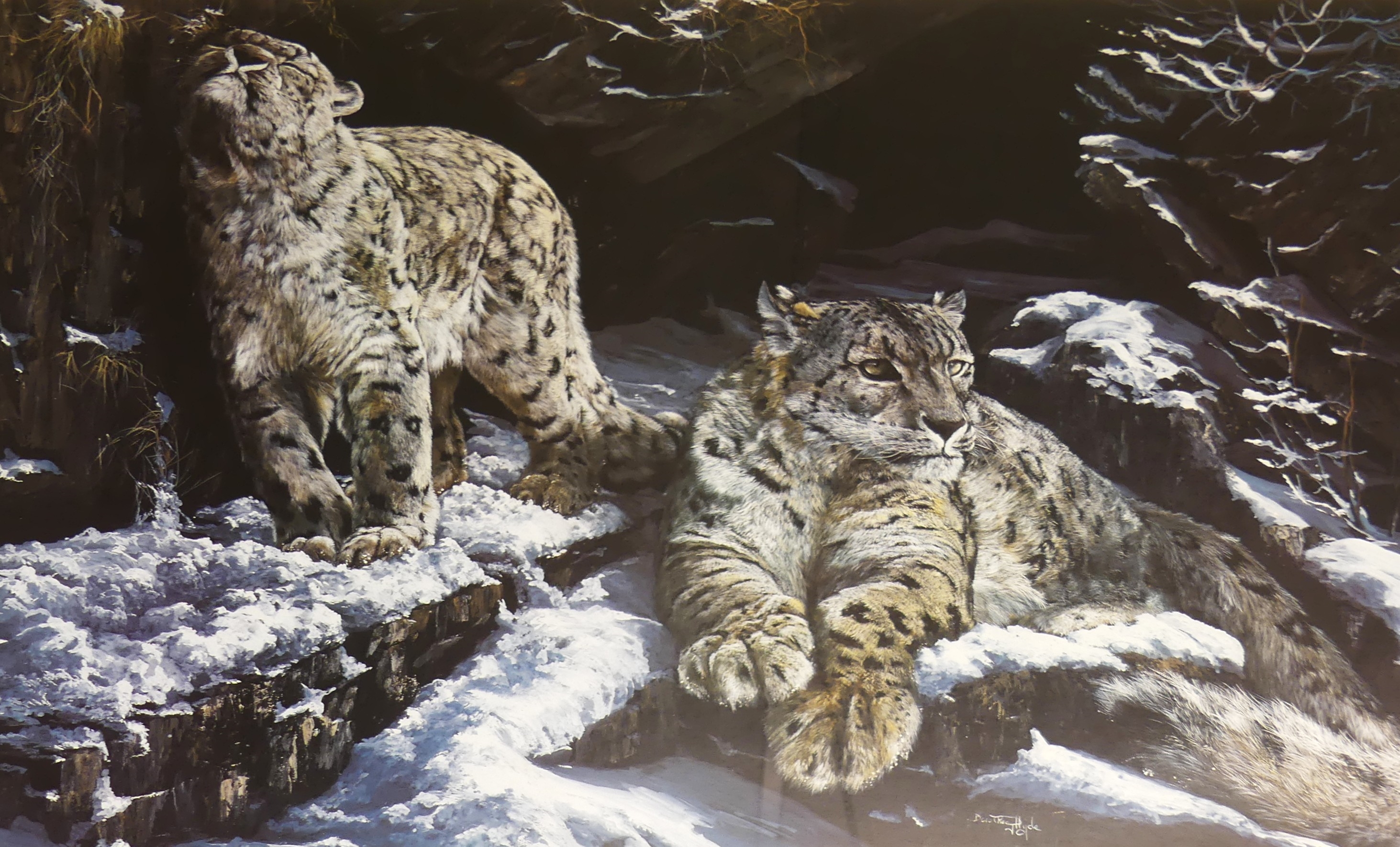 Artwork by Dorothea Buxton-Hyde, Dorothea Hyde - Contentment, Made of limited edition print