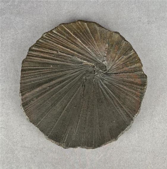 Lars Voltz | Lars Voltz Studio Pottery Plate | MutualArt