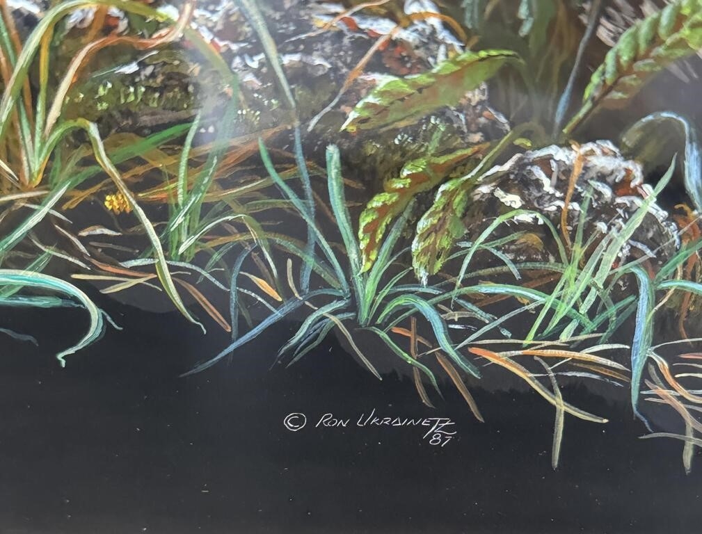 Artwork by Ron Ukrainetz, Ron Ukrainetz Turkey Scratchboard & Acrylic, Made of miniature