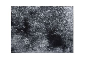 Monochromatic | oil - David Sheene