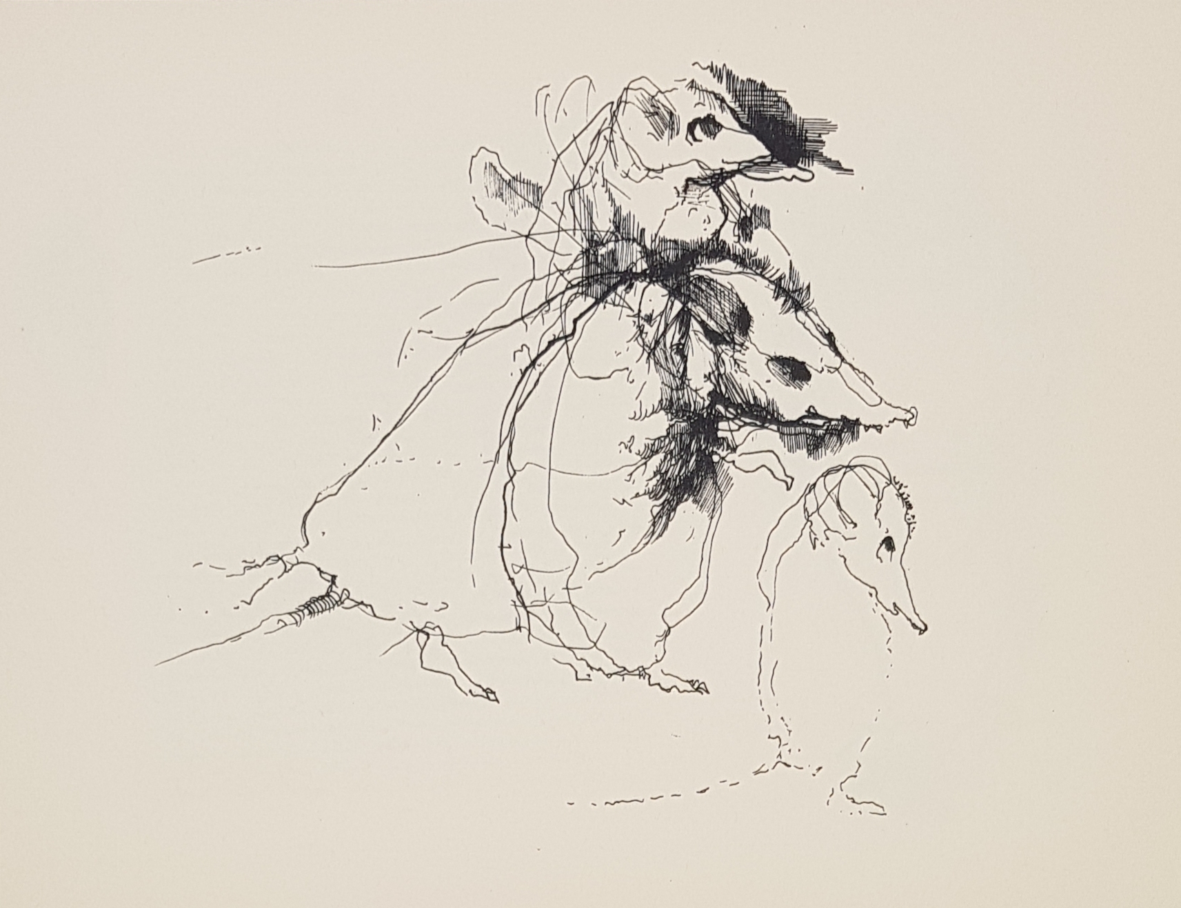 William Kuik | Map met drieëntwintig losse bladen (1975) | MutualArt