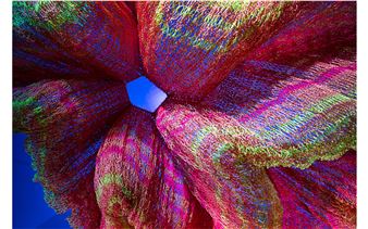 Janet Echelman: Radical Softness