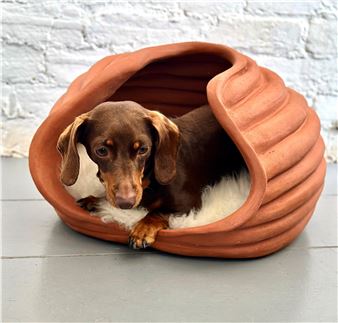 Kennel Vessel - Hall + Bednarczyk