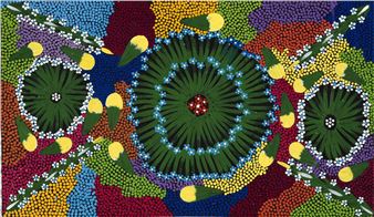 Bush Banana - Laurel Nangala