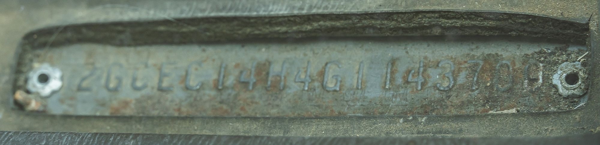 Artwork by MANUAL, DAY TWO: The Texas Ranch Auction, Made of plastic Pen