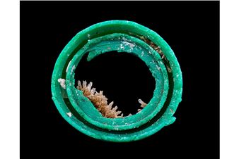 Castaway: The Afterlife of Plastic opens at Harvard's Peabody Museum