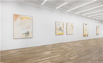 Ricardo Gonzalez: Traces - Asya Geisberg Gallery