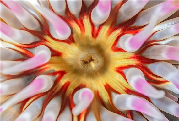 All Things Considered - Centrespace Gallery