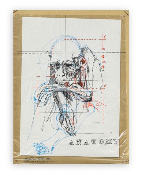 Sebastian Trovato | Anatomy (Studio per una anatomia (1975) | MutualArt