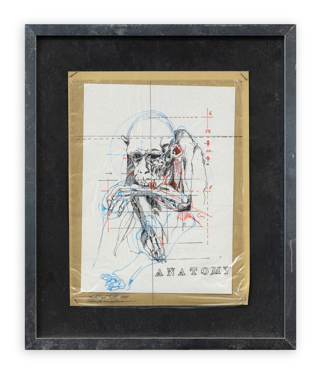 Sebastian Trovato | Anatomy (Studio per una anatomia (1975) | MutualArt